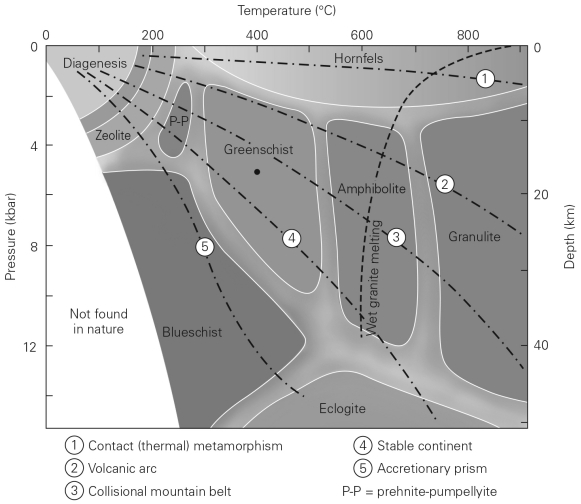 Consult the figure below.Compared with amphibolite metamorphic facies,the minerals in greenschist facies occur in   A)  lower-grade rocks. B)  higher-grade rocks. C)  partially melted rocks. D)  the same grade but a different chemistry due to different protoliths.