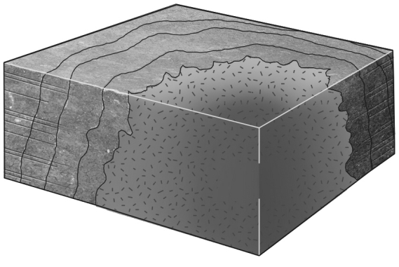 Consult the figure below.The region of thermally metamorphosed rock surrounding a cooled pluton is called a(n)    A)  shear zone. B)  aureole. C)  oriole. D)  metamorphic ring.