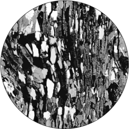 Examine the photomicrograph of a metamorphic rock below.Label the direction of the greatest compressive stress and the direction of preferred mineral orientation that created the foliation in the rock.  