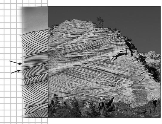 The image below shows ancient dunes exposed in Zion National Park in Utah.Using the interpreted portion of the image at the left,what was the dominant wind direction that formed these sedimentary structures?   A)  toward the right B)  toward the left C)  toward both the left and right D)  vertical,both up and down