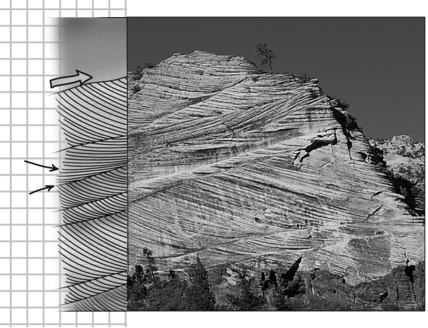Consult the figure below.Here,distinct internal laminations are inclined at an angle to the boundary of the main sedimentary layers.These are termed   A)  graded beds. B)  cross beds. C)  horizontal beds. D)  tilted beds.