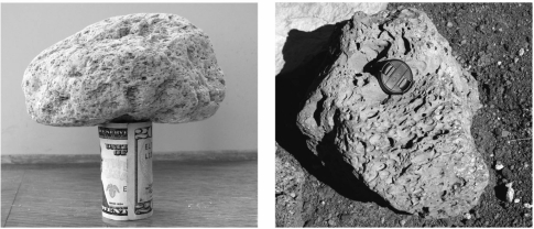 Pumice and scoria are examples of glassy igneous rocks that contain a lot of ______.   A)  vesicles B)  phenocrysts C)  volatiles D)  xenoliths
