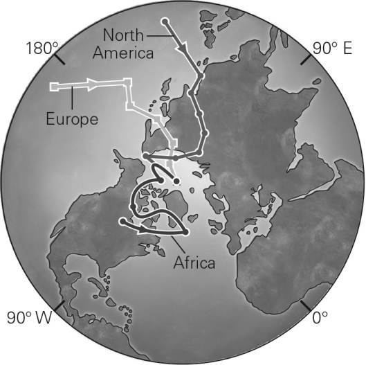 The discovery that each continent had different and separate apparent polar-wander paths,such as those in the figure below,proved that   A)  the continents move independently of each other relative to fixed magnetic poles. B)  the magnetic poles move but the relative positions of continents to each other remain constant. C)  both the poles and continents move,but only one at a time. D)  both the poles and continents move,and do so together.