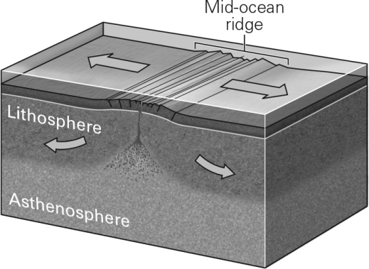 Which basic type of plate boundary is shown in the image below?   A)  convergent B)  divergent C)  transform D)  submerged