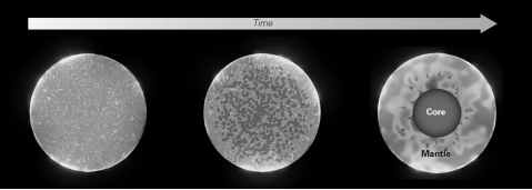 Why did the early Earth differentiate into core and mantle?   A)  Gravity pulled denser material to the interior and left less dense material on the outside. B)  Nucleosynthesis created an outer mantle layer from fusion of the elements in the core. C)  Gravity first pulled denser material into a protoplanet,and only later was mantle material added. D)  Spinning on its axis caused less dense mantle material to float outside the core.