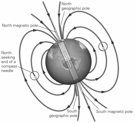 The shape of the Earth's magnetic field is approximately that of a   A)  monopole,as would be produced by just one pole of a magnet. B)  dipole,such as that produced by a bar magnet. C)  torus,a doughnut-shaped ring parallel to the Earth's equator. D)  sphere,following the shape of the Earth.