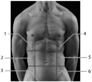 <strong>  Photo Credit: Custom Medical Stock Photo, Inc. Figure 1-5 Abdominopelvic Regions Use Figure 1-5 to answer the following questions: The stomach, spleen, and some of the large intestine together are located in which region?</strong> A) 5 B) 4 C) 1 D) 7 E) 6 <div style=padding-top: 35px> 