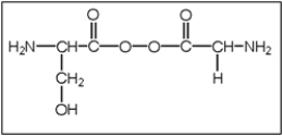 <strong>What is the correct structure of serylglycine (Ser-Gly)? Serine has a CH<sub>2</sub>OH functional group and glycine is functionalized with an H atom.</strong> A) B) C) D) E)