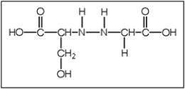 <strong>What is the correct structure of serylglycine (Ser-Gly)? Serine has a CH<sub>2</sub>OH functional group and glycine is functionalized with an H atom.</strong> A) B) C) D) E)