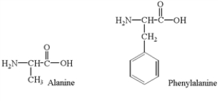 <strong>Amino acids polymerize in condensation reactions that result in the formation of an amide linkage (or peptide bond)between amino acid molecules.What is a possible dipeptide formed in the reaction of alanine with phenylalanine? </strong> A) B) C) D) E) None of the above