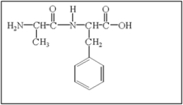 <strong>Amino acids polymerize in condensation reactions that result in the formation of an amide linkage (or peptide bond)between amino acid molecules.What is a possible dipeptide formed in the reaction of alanine with phenylalanine? </strong> A) B) C) D) E) None of the above