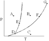 <strong>On the phase diagram below,which point corresponds to conditions where both liquid and gas phases exist? </strong> A) A B) B C) C D) E E) F