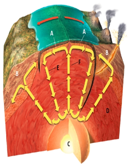 Match the items listed below with the appropriate description.​   Figure 12.3 ​ -On the figure of the earth's crust,choose the letter that represents hot material rising through the mantle.​