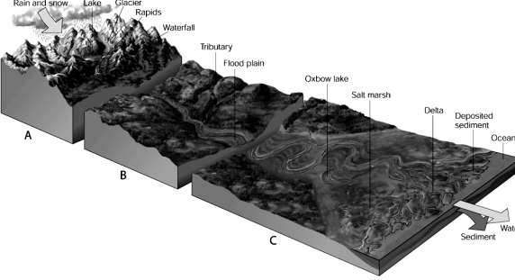 <strong>  Use the figure above to answer the following question(s). Biomes are characterized by certain types of ____.</strong> A) light and temperature B) climate and light C) light and climate D) climate and dominant plant life E) dominant plant life and temperature <div style=padding-top: 35px> 