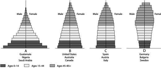   Use the Figure above to answer the following question(s). -For the United States,Australia,and Canada,which gender is represented by the largest numbers in the later years of life?
