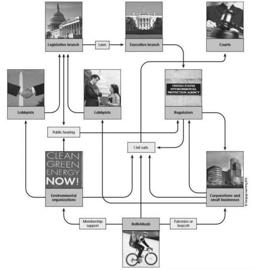   Please use the figure above to answer the following question(s). -Individuals,corporations,and environmental organizations interact with each other and with the legislative,executive,and judicial branches of the U.S.government.Lobbyists typically interact directly with which branch of government?