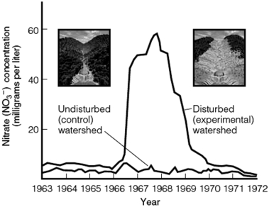   -With reference to the accompanying figure,explain the significant difference that occurred between 1966 and 1970 in terms of the two lines representing the control watershed and the experimental watershed.