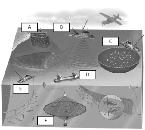 <strong>  Use the figure above to answer the following question(s). Which of the following is not an economic service provided by forests?</strong> A) fuelwood B) mining C) erosion reduction D) lumber E) recreation <div style=padding-top: 35px> 