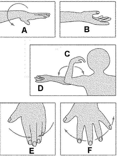 Match each letter on the diagram with the following correct type of joint movement.    ​ -​Abduction