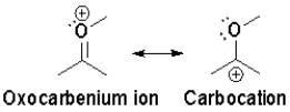 Which resonance is more heavily favoured and why?   A) the oxocarbenium ion,because ð bonds are more stable than lone pairs B) the oxocarbenium ion,because all atoms have a full octet C) the carbocation,because the positive charge is on the least electronegative atom D) the carbocation,because lone pair electrons are more stable than ð bonds