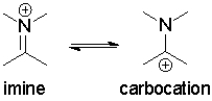 Which resonance state contributes most to the observed electrophilic reactivity of imines?   A) the imine,because it's the most stable resonance form B) the imine,because the positive site contains a complete octet C) the carbocation,because it's the least stable resonance form D) the carbocation,because the positive site contains an open p orbital