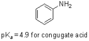 Given the structure and pK<sub>a</sub> of analine (shown below) ,what can be said about its protonation state at pH 4.9?   A) ˜100%   B) ˜100%   C) ˜50%   ,˜50%   D) There is not enough data to evaluate.