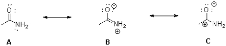 Which of the following best describes the resonance forms of an amide bond shown below?   A) A is the largest contributor;B is the smallest contributor. B) A is the largest contributor;C is the smallest contributor. C) B is the largest contributor;C is the smallest contributor. D) C is the largest contributor;B is the smallest contributor.