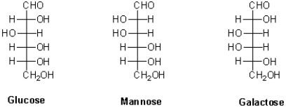 Which of the following hexoses are distereomers with each other?   A) Glucose and mannose are diastereomers. B) Glucose and galactose are diastereomers. C) Galactose and mannose are diastereomers. D) Glucose,mannose,and galactose are diastereomers with each other.