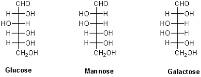 Which of the following best describes the stereochemical relationship between the hexoses shown below?   A) Glucose and mannose are enantiomers. B) Glucose and galactose are enantiomers. C) Galactose and mannose are enantiomers. D) Glucose and mannose are diastereomers.