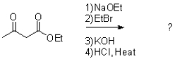What it the major product of the reaction shown below?   A)    B)    C)    D)   