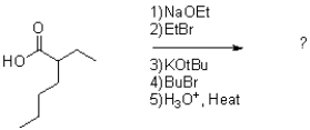 What is the major product of the following reaction conditions?   A)    B)    C)    D)   