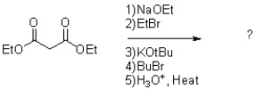 What is the major product of the following reaction conditions?   A)    B)    C)    D)   