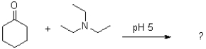 What would be the major product of the following reaction?   A)    B)    C)    D) No reaction would occur.