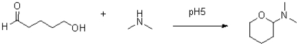 Propose a mechanism for the reaction shown below.  