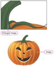   Based on the original image and its enlargement shown in the figure above, this is a(n) ________ image. A) bitmap B) vector graphic C) absolute D) rendered