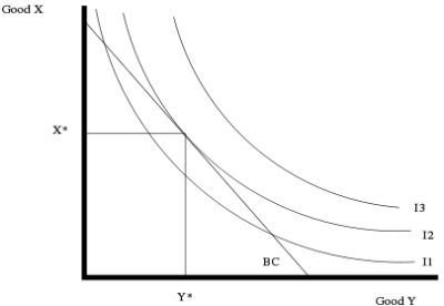   -Refer to the above diagram. In this instance: A)  the BC line is diagonal because the amount spent on both goods is less or equal to income. B)  the consumer will find that every point along the I3 line is outside the budget constraint. C)  the consumer will find the highest utility where x and y just touch the I2 line. D)  all of the above and the consumer can choose any point on or below the budget constraint line BC.