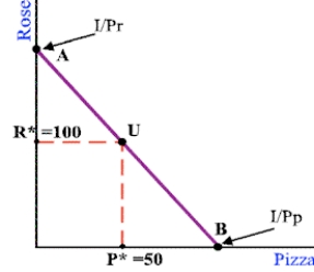   -Refer to the budget line shown in the diagram above. At point U, __________. A)  P1/P2 = MU1/MU2 B)  pizza is an inferior product C)  P2/P1 = MU2/MU1 D)  roses are an inferior product