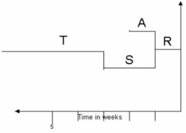     \begin{array} { | c | c | c | c | }  \hline  { \text { Bill of Material } } \\ \hline \text { Item } & & & \text { Quantity } \\ \hline R & & & 1 \\ \hline & \mathrm { S } ( 3 ) & & 3 \\ \hline & & \mathrm { T } ( 3 ) & 9 \\ \hline & \mathrm { A } ( 3 ) & & 3 \\ \hline \end{array}