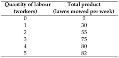   -Kenya owns a lawn-mowing company. His total product schedule is in the above table. When 4 workers are employed, the average product is ________ lawns mowed per week. A)  25 B)  80 C)  20 D)  5 E)  320