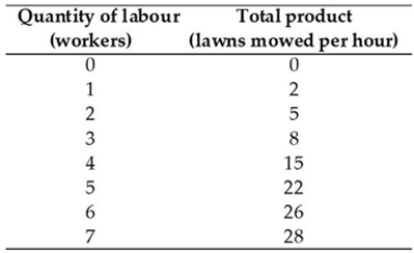   -The table above shows the total product schedule for Rick's Lawn Service, a garden-care company. Increasing marginal returns A)  occur as long as output increases. B)  occur at all levels of employment. C)  end when the second worker is hired. D)  never occur. E)  end when the fourth worker is hired.