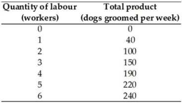   -Anna owns a dog-grooming salon in Brunswick. The above table has Anna's total product schedule. Anna pays each worker $300 per week and she pays rent of $600 a week for her salon. These are her only costs. When Anna has a staff of 6 workers, her average variable cost equals A)  $7.50. B)  $300. C)  $2,400. D)  $10.00. E)  $1,800.