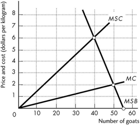   -For a common resource, the equilibrium with no government intervention is such that ________ equals ________. A)  marginal social cost; marginal social benefit B)  marginal social benefit; marginal external cost C)  marginal private benefit; marginal social cost D)  marginal social benefit; marginal private cost E)  marginal external benefit; marginal external cost