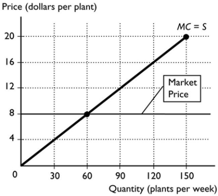   -The figure above shows the supply curve for soft drink. The market price is $1.00 per soft drink. The producer surplus from the 10,000th soft drink is A)  $0.00. B)  $1.00. C)  $0.50. D)  more than $1.00. E)  None of the above answers is correct.