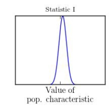 Three different statistics are being considered for estimating a population characteristic. The sampling distributions of the three statistics are shown in the following illustration:       Which statistic would you recommend? A) Statistic I B) Statistic II C) Statistic III D) Statistic I or Statistic II E) Statistic II or Statistic III