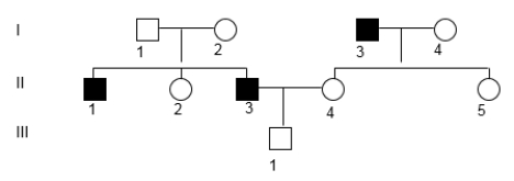 If the characteristic followed in the pedigree is X-linked recessive allele, what is III-1's genotype?   A)  hemizygous for a dominant allele B)  hemizygous for a recessive allele C)  definitely heterozygous D)  definitely homozygous dominant E)  either heterozygous or homozygous dominant