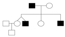 Assuming that it is not a Y-linked trait, suggest the MOST likely mode of inheritance for the rare trait shown in the pedigree below.   A)  autosomal recessive B)  autosomal dominant C)  X-linked recessive D)  X-linked dominant E)  mitochondrial