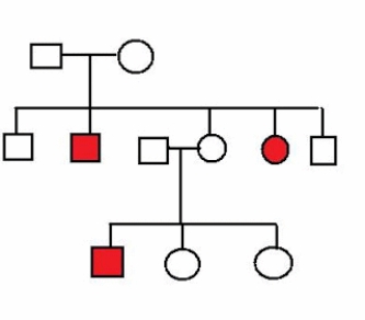What is the MOST likely mode of inheritance for the trait segregating in the pedigree below?   A)  X-linked recessive B)  autosomal recessive C)  could be either X-linked recessive or autosomal recessive D)  X-linked dominant E)  autosomal dominant