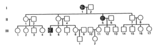 <strong>The pedigree below shows the segregation of an autosomal recessive trait in humans. Unless there is evidence to the contrary, assume that individuals who marry into the family do not carry the recessive allele. If IV-1 and IV-2 marry, what is the probability that their first child will have this trait? </strong> A) 1/12 B) 1/16 C) 1/24 D) 1/36 E) 1/8