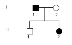 Is it possible that the characteristic in the pedigree below could be autosomal dominant? If so, what is the genotype of each individual? If not, explain why not, giving specific genotypes. Use alleles D and d.  