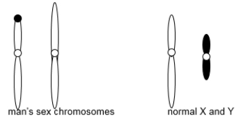 A man and a woman are trying to have children but are unsuccessful. The man's autosomes appear normal, but his sex chromosomes, shown in the following diagram, are not. The diagram also shows a normal male's sex chromosomes for reference. In two to three sentences, explain the man's situation, including the type of chromosome mutation he carries, the specific regions of specific chromosomes involved, and why he is male.  